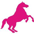 Indigos 4051095056782 Wandtattoo w618 Pferd 96 x 53 cm Wandaufkleber in 3 Größen, rosa