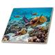 3dRose CT 26850 _ 7 Sea Turtles-Glass Tile, 20,3 cm