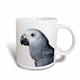 3dRose Afrikanisches Parrot-Magic zu Tasse, Keramik, Schwarz/Weiß, 10,16 x 7,62 x/