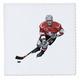 3dRose QS 38274 _ 3 Hockey Player mit Stick auf White-Quilt Platz, 8 von 20,3 cm