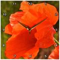 3dRose DPP_24860_2 Wanduhr, Motiv Mohnblume, 33 x 33 cm, Rot