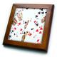 3dRose Foto-Deck für Pokerbrücke und andere Kartenspiele, gerahmte Fliesen, 15,2 x 15,2 cm, Holz/Keramik, Mehrfarbig, 20,3 x 20,3 cm