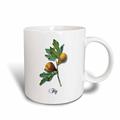 3dRose), Blumen-Set Obst auf AST, 10,16 x 7,62 x 9,52 cm, Keramik-Tasse, Keramik, Weiß