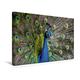 Calvendo Premium Textil-Leinwand 45 cm x 30 cm Quer, Blauer Pfau | Wandbild, Bild auf Keilrahmen, Fertigbild auf Echter Leinwand, Leinwanddruck Natur Natur