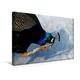Calvendo Premium Textil-Leinwand 45 cm x 30 cm Quer, Blauer Pfau im Schnee | Wandbild, Bild auf Keilrahmen, Fertigbild auf Echter Leinwand, Leinwanddruck Tiere Tiere
