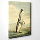 BIG Box Art Canvas Print 20 x 14 Inch (50 x 35 cm) Vintage Charles R Ryley Penguin - Canvas Wall Art Picture Ready to Hang