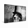 Premium Textil-Leinwand 45 cm x 30 cm Quer Border Collie Bild auf Leinwand | Wandbild, Bild auf Keilrahmen, Fertigbild auf Echter Leinwand, Leinwanddruck