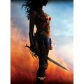 DC Universe Wonder Woman Teaser, 60 x 80 cm, Leinwanddruck Mehrfarbig