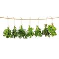 Eurographics DGS-DT6127 Hanging Herbs 50x90 ESG-Küchenspritzschutz, Glas, Mehrfarbig, 90,00 x 50,00 x 0,50 cm