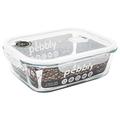 Pebbly pkv-2250rb Flach/Box rechteckig aus Glas Transparent 25 x 20 x 9 cm