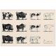 Artopweb TW17237 Picasso - Le Taureau Dekorative Paneele, Multifarbiert,92x61 Cm