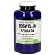 Gall Pharma Boswellia Serrata 200 mg GPH Kapseln 240 Stück