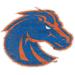 Boise State Broncos Distressed Logo Cutout Sign