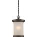 Nuvo Lighting Diego 14 Inch Tall 1 Light LED Outdoor Hanging Lantern - 62/645