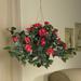 Bay Isle Home™ Silk Hibiscus Hanging Basket Polyester/Plastic in Red | 24 H x 32 W x 32 D in | Wayfair 7C1412686260443DAA9E99F206944CC9