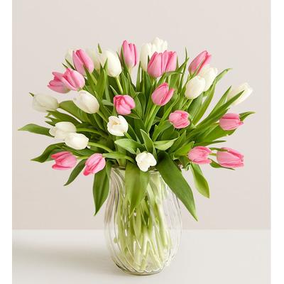 1-800-Flowers Seasonal Gift Delivery Sweet Spring Tulip Bouquet 30 Stems W/ Clear Vase | Put A Smile On Their Face