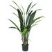 Bay Isle Home™ Bird of Paradise Palm Plant in Pot Silk/Plastic | 63 H x 32 W x 32 D in | Wayfair B01F8885094845F9BF193E9FB75CC7C0