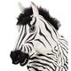 "ZEBRA FULL HEAD MASK WITH PLUSH HAIR" -