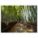 Winston Porter 'Wide Pathway in Bamboo Forest' Photographic Print on Wrapped Canvas in Green | 28 H x 60 W x 1 D in | Wayfair
