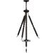 Meyda Lighting 22 Inch Large Pendant - 152849