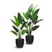 Brayden Studio® Faux Botanical Traveller's Palm in Green Silk/Plastic in Black | 50 H x 28 W x 28 D in | Wayfair 3EFC075E0FCD44F5ABB6FB34DE4FCA33