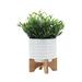 Joss & Main Dodd Raised Ceramic Planter Pot on Interlocked Wood Stand, Indoor/Outdoor Planters Wood/Ceramic in White | 7" H x 6" W x 6" D | Wayfair