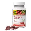 Raab Vitalfood Bio Cranberry Extrakt Kapseln, 90 Stück, ohne Zuckerzusatz, 50 mg Proanthocyanidine (PAC) pro Portion Extrakt, glutenfrei, vegan, 1er Pack