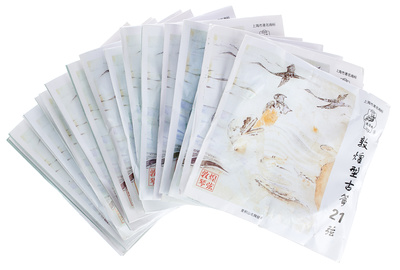 Thomann GuZheng Pro-Level Strings Set