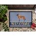 East Urban Home Malinois Belgian Shepherd 27 in. x 18 in. Non-Slip Outdoor Door Mat Synthetics | Rectangle 18" x 27" | Wayfair