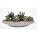 Bungalow Rose Assorted Artificial Aloe Succulent w/ Natural Pebbles Silk/Plastic/Stone in Gray | 10.5 H x 24 W x 10 D in | Wayfair