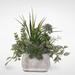 Bungalow Rose Assorted Artificial Aloe Succulent in Pot Plastic/Stone in Gray | 11 H x 10 W x 8 D in | Wayfair 96B4953DE9624A0DA36B371A78EC3DAA