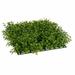 Ophelia & Co. Mini Leaf Matt Plant Plastic | 2.5 H x 11 W x 11 D in | Wayfair 3005DD7F33824D9F869727DD25322576