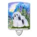 Caroline's Treasures Havanese Ceramic Night Light Ceramic in Brown/White | 6 H x 4 W x 3 D in | Wayfair SS1034CNL