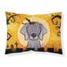 The Holiday Aisle® Soria Halloween Schnauzer Pillowcase Microfiber/Polyester | Wayfair D5DB5B7F3FC847F49411C9C48DEE8D05