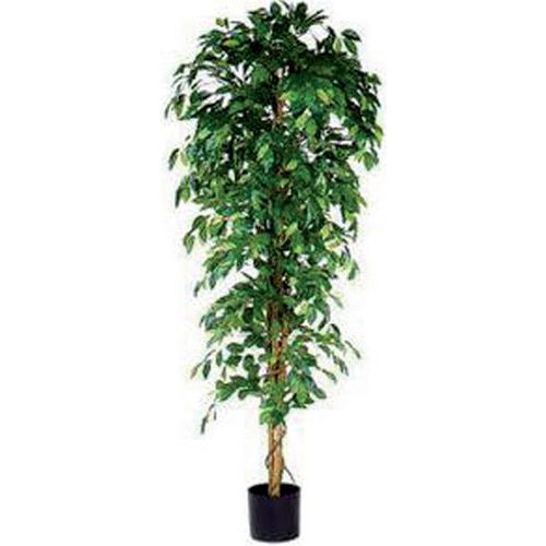 Plante Artificielle Ficus Benjamina Vert Hauteur 210cm - Vepabins