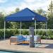 E-Z UP Vantage 10 Ft. W x 10 Ft. D Steel Pop-Up Canopy Metal/Steel/Soft-top in White, Size 137.04 H x 120.0 W x 120.0 D in | Wayfair VG3WH10RB
