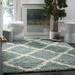 "Dallas Shag Collection 5'-1"" X 7'-6"" Rug in Seafoam And Ivory - Safavieh SGD257C-5"