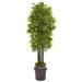 Bayou Breeze 6ft. Bamboo Artificial Tree w/ Black Trunks in Planter UV Resistant (Indoor/Outdoor) Silk/Plastic/Metal | 72 H x 28 W x 21 D in | Wayfair