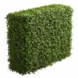 Darby Home Co Artificial Boxwood Hedge Silk/Plastic | 39 H x 29 W x 14 D in | Wayfair 6C7245E5428E458AB2CB0EC48FA9CC8F