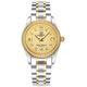 Automatic Watch Fashion Women's Analog Watches Stainless Steel Link Waterproof Ladies Luxury Dress Watch (Silver & Gold)