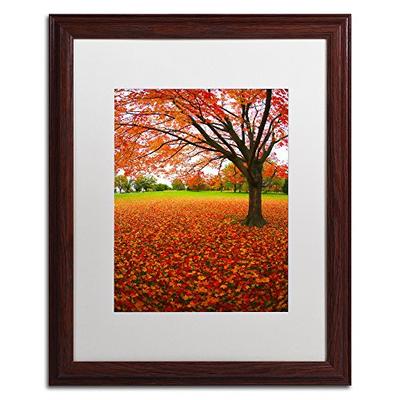 Autumn Expressions White Matte Artwork by CATeyes, 16 by 20-Inch, Wood Frame