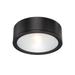 WAC Lighting 12 Inch LED Outdoor Flush Mount - FM-W2612-BK