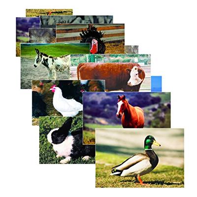 Stages Learning Farm Animal Posters Real Photo Classroom Decorations for Preschool Bulletin Boards &
