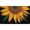 Toland Home Garden Sunflowers on Black 18 x 30-Inch Decorative Floor Mat Sunflower Portrait Flower D