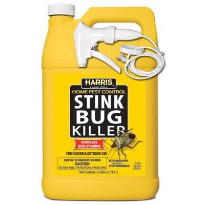 Ready-To-Use Stink Bug Killer