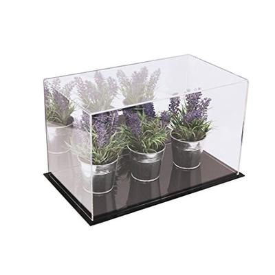 Better Display Cases Acrylic Deluxe Display Case with Mirror - Medium Rectangle Box 14" x 8" x 8.5"