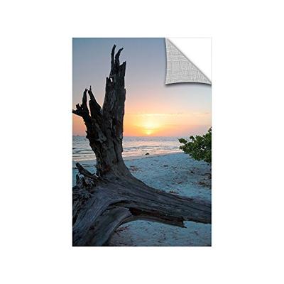 ArtWall Steve Ainsworth's Sanibel Sunrise I Art Appeelz Removable Graphic Wall Art, 24 x 36"