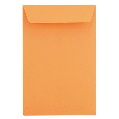 Universal 40105 Catalog Envelope, 55, 6 x 9, Brown Kraft, 500/Box