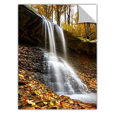 ArtWall 'Blue Hen Falls 2' Removable Wall Art by Cody York, 32 by 48-Inch