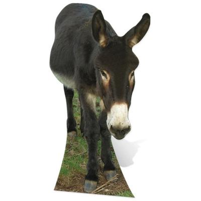 SC71 Donkey Cardboard Cutout Standup